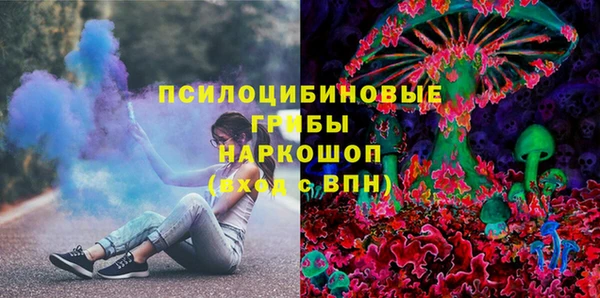 крисы Мегион