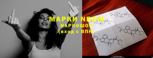 крисы Мегион
