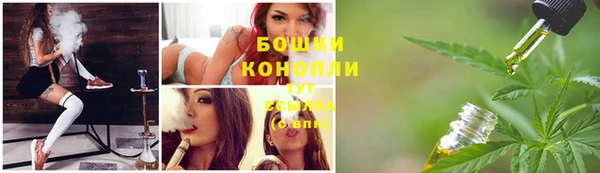 крисы Мегион