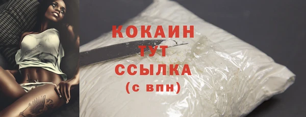 крисы Мегион