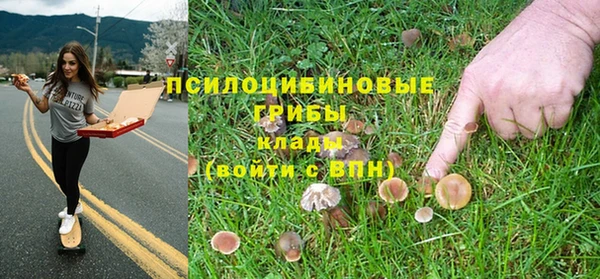 крисы Мегион