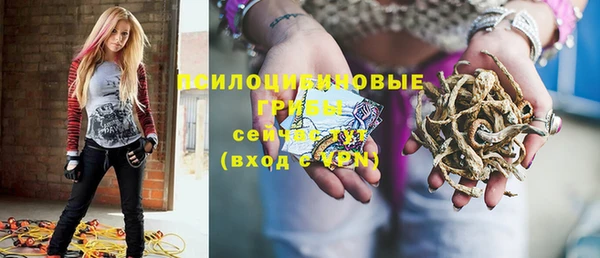 меф Медвежьегорск