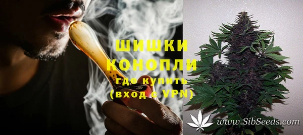 крисы Мегион