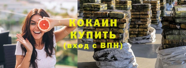 крисы Мегион