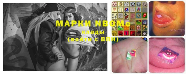крисы Мегион