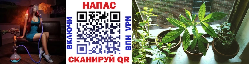 Купить где  Балтийск  Марихуана THC 21% 